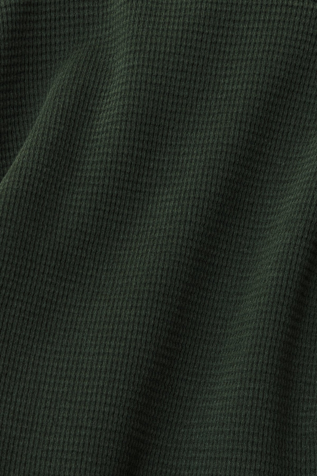 Ivy